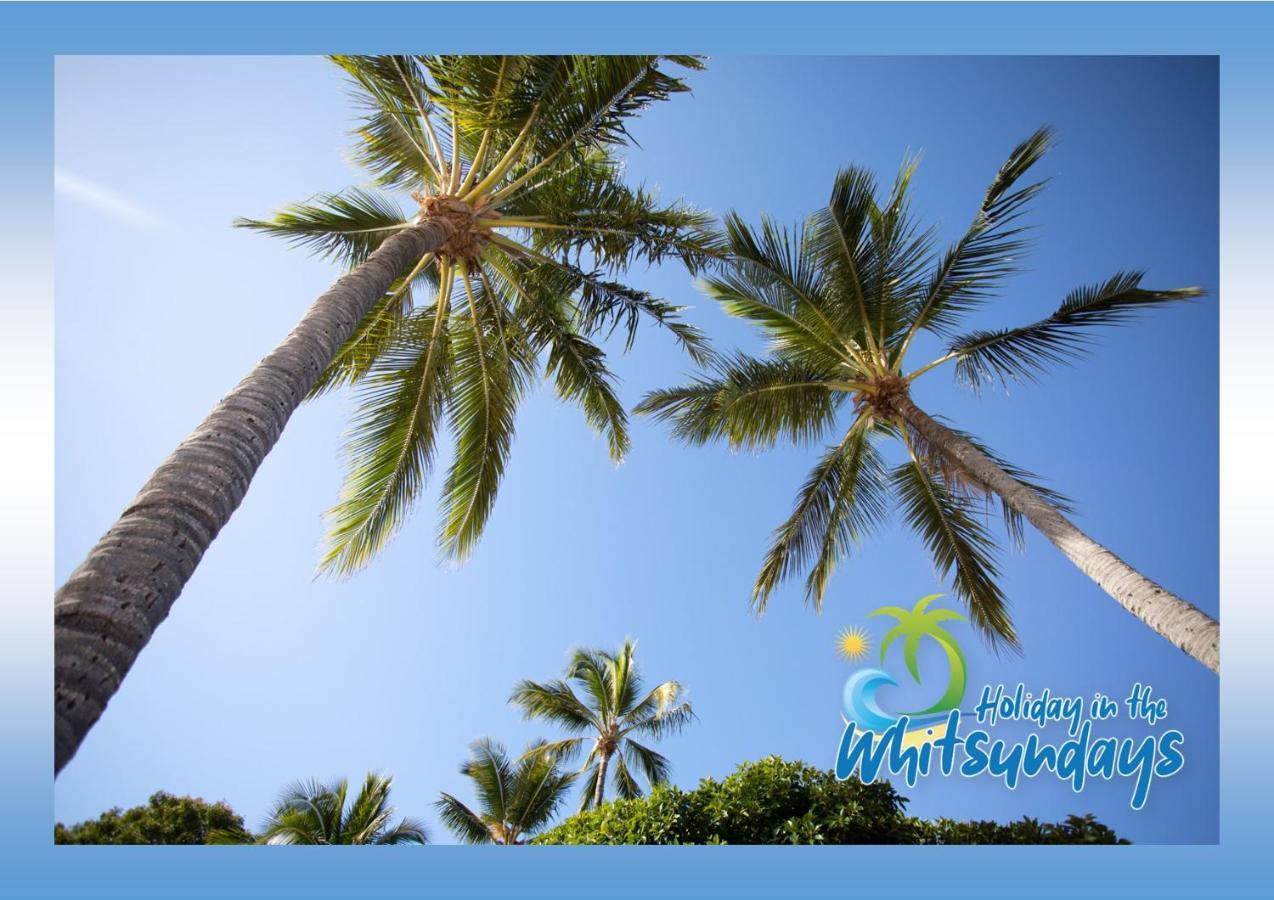 Ocean Views 16 Pool & Spa Wi-Fi Airlie Beach Εξωτερικό φωτογραφία